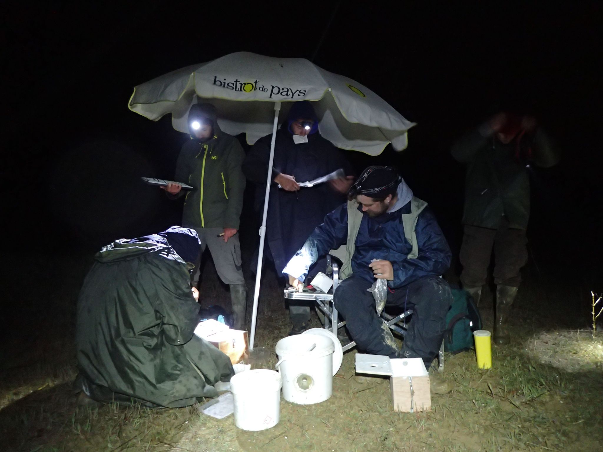 The team of biologists in the field © PNRL Jerome Brichard